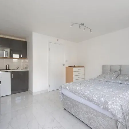 Newly Renovated Cozy Studio In North London Exterior photo